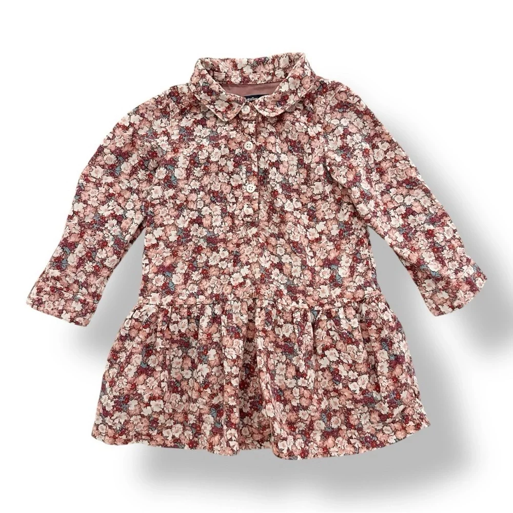 baby GAP | Floral Drop Waist Shirt Dress (18-24 mos)